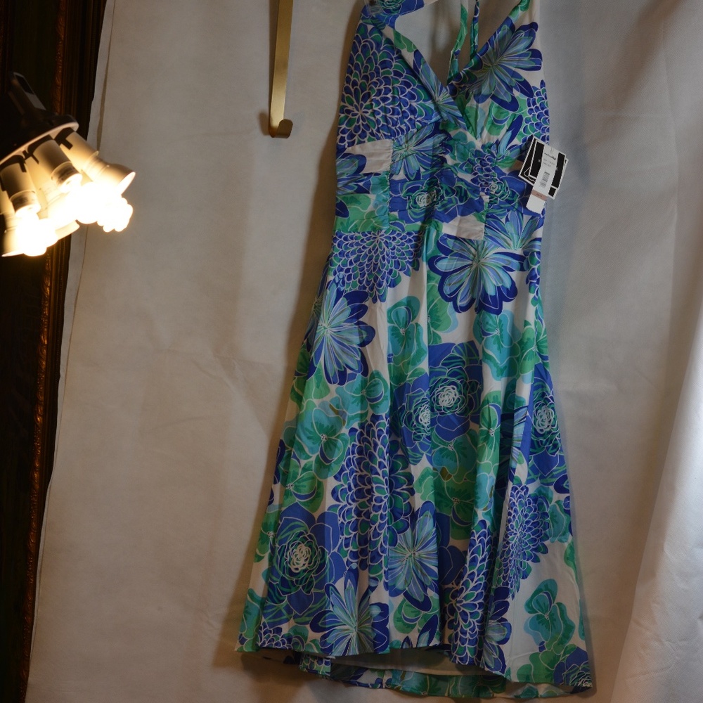 MadisonLeigh Floral Halter Dress Sizes 14P and 12 NWT